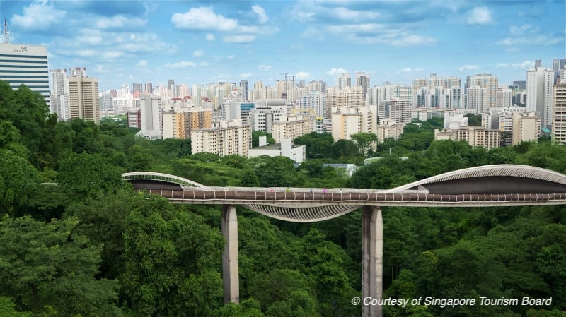 Henderson waves singapore (1)