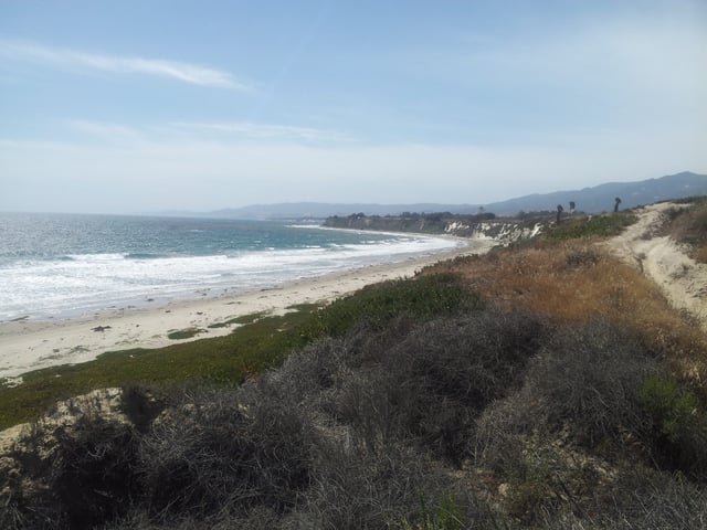 Follow DP and stay on the cliffs to head toward the Goleta Monarch Butterfly Reserve. 