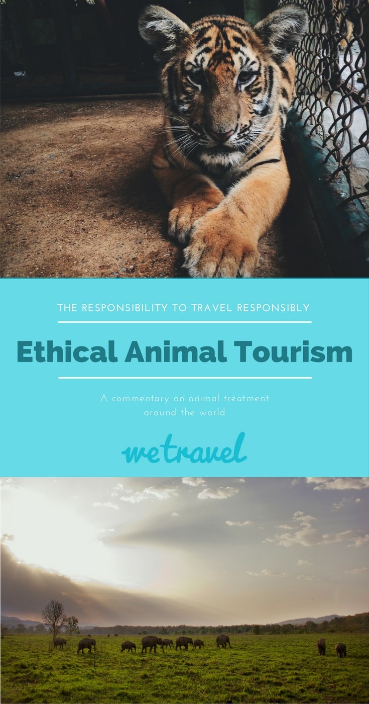 Ethical Animal tourism