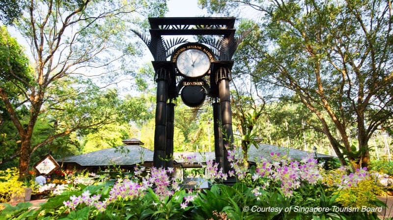 SINGAPORE BOTANIC GARDENS - CLOCK TOWER (1)