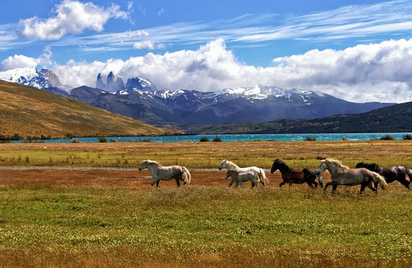 chile-patagonia