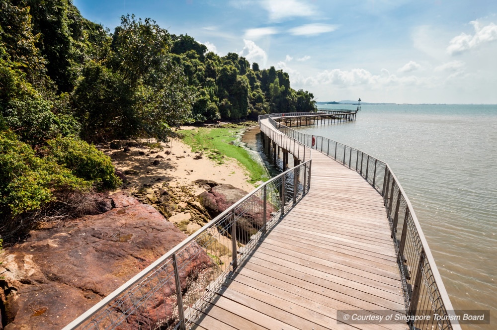 CHEK JAWA WETLANDS - BOARDWALK (1)