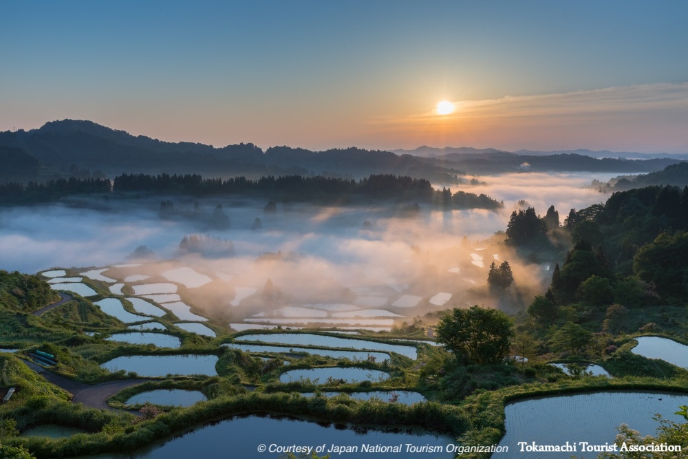 Rice Field Terrace japan