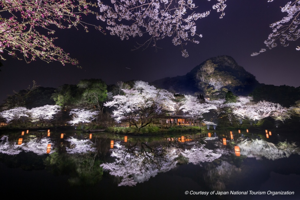 Saga Sakura japan