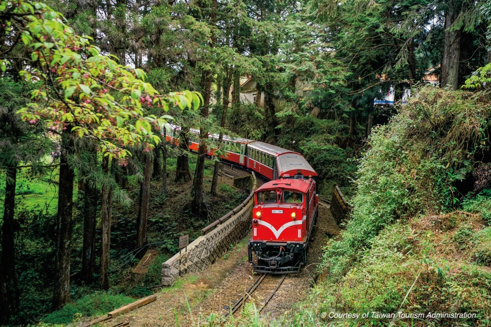 Train- Alishan(Nature)